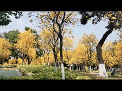 -天河儿童公园