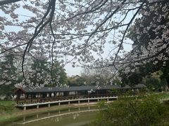 -堤角公园