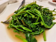 -桃花源中餐厅(金茂豪华精选酒店)