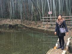-石塘人家
