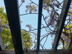 -北京颐和宾馆