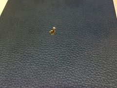 -Le Comptoir de la Gastronomie