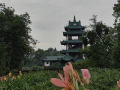 -桂湖森林公园
