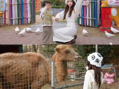 -上海佘山世茂艾美酒店