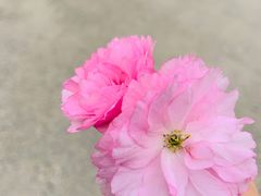 -老二龙虾馆(贵池路店)