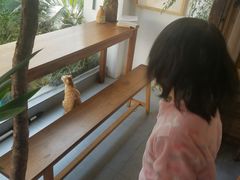 -知亘茶食