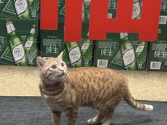 -胖哥川菜馆(武东路店)