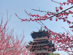 -杭州半山国家森林公园