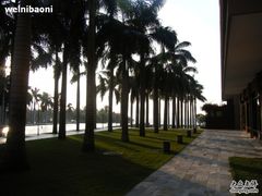 -三亚亚龙湾红树林度假酒店