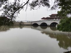 -大湾区中央湿地公园