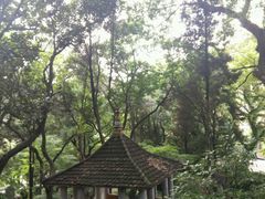 -叶家花园