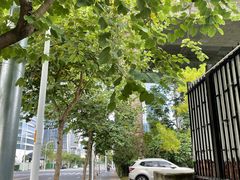 -福建中医药大学附属第二人民医院(本部)