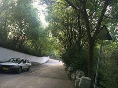 -安飞驰驾校·学车连锁(金高店)