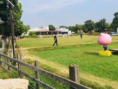 -田园东方蜜桃村的田野营地