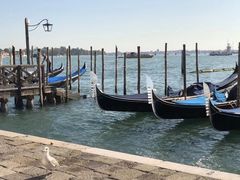 -圣马尔谷圣殿宗主教座堂