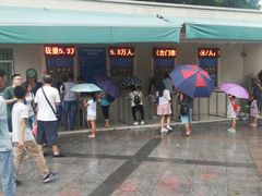 -广东茂名森林公园