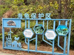 -广东惠东海龟国家级自然保护区