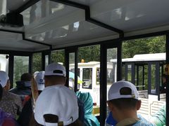 -五营红松林海景区