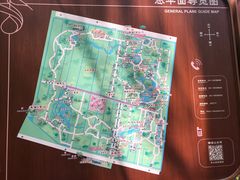 -东平国家森林公园