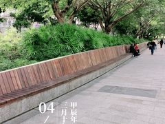 -沐仙湖湿地公园