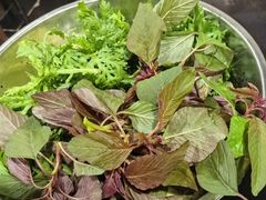 -黔府豆米火锅野菜馆(南马店)