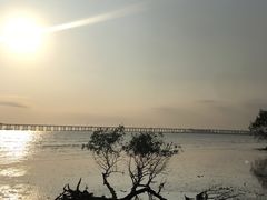 -宝安西湾红树林湿地公园