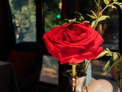 -弦月窗LUNETTE BY AMANDA(复兴路店)