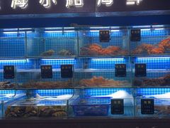 -鸽子侯·家宴·平价海鲜(市图书馆店)