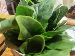 -十六蒲(桂林路店)