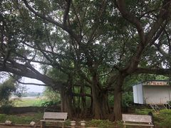 -涠洲岛-圣母堂