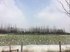 -长兴岛郊野公园农场食堂