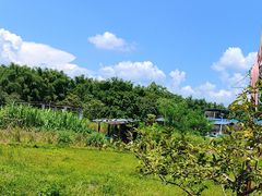 -丰依竹食·老牌竹筒饭