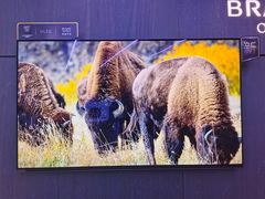 -苏宁易购(Suning Pro北京立水桥店)
