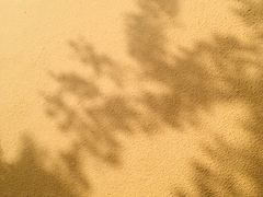 -重庆南山海昌汤都