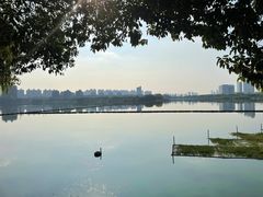 -金银湖国家城市湿地公园
