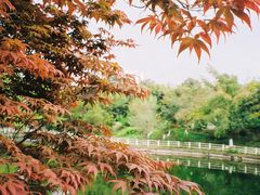-塔子山公园