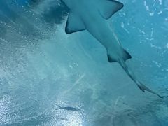 -海合安武汉极地海洋公园