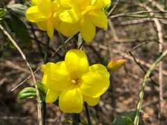 -苏州河梦清园环保主题公园