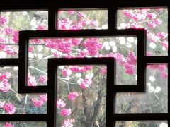 -花溪公园