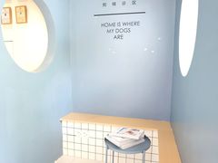 -柏萃动物医院·骨科·牙科