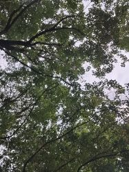 -倩极·精研痘敏肌管理
