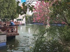 -湖南广播电视台娱乐频道