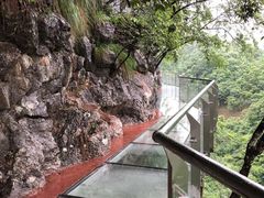 -千岛湖石林