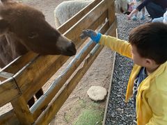 -HERRE·FARM 赫尔露营农场·团建聚会包场