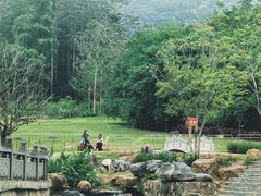 -黄埔油麻山森林公园