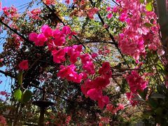 -The Grounds of Alexandria