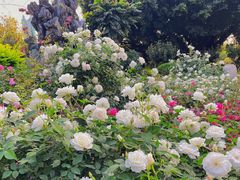 -人民公园(罗湖区)