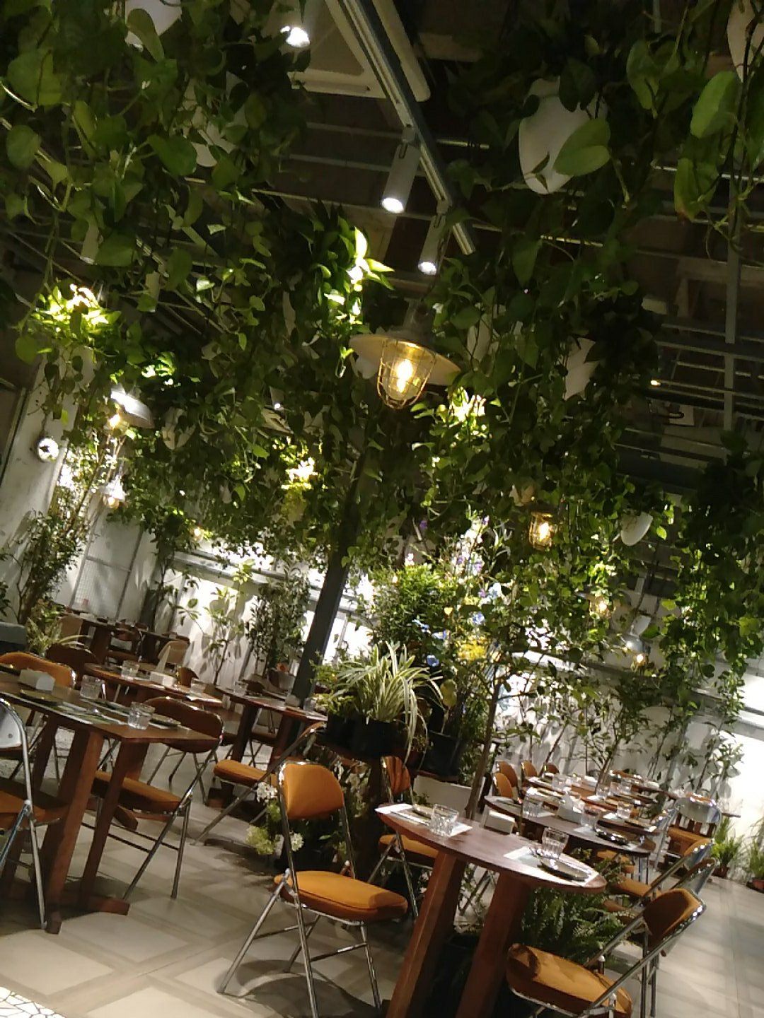 「缦云里花园西餐厅(义乌天地店)」「缦云里花园西餐厅(义乌天地店)」