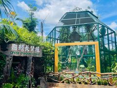 -海南热带野生动植物园
