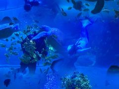 -左海海底世界